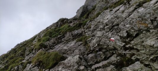 Catene verso il colle Manzol