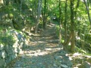 Mulattiera per Marine