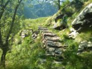 Sentiero all'uscita dal bosco