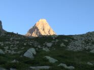 Becco meridionale con camoscio