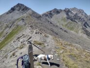  Colle del Thuras


 