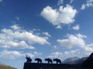 Moncenisio, 