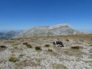 La Cima delle Saline vista da Pian Comune