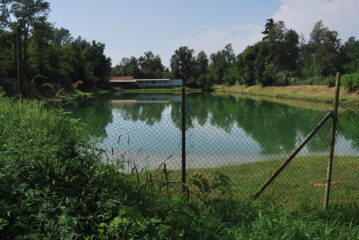 Uno dei due laghi vita a Ghemme, prima di salire sull’argine