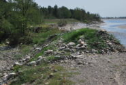 L’argine sul Sesia a Ghemme vittima dell’alluvione