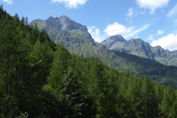 La lera