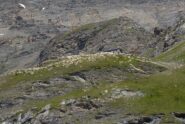 Affollamento al rifugio