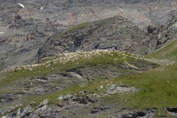 Affollamento al rifugio