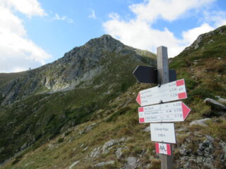 Pizzo d'Ormea dalla Colla del Pizzo