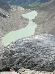 facili placche poco sopra il praticello,