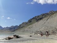 guado in riva al lago