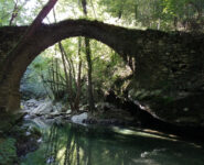 charset=InvalidCharsetId binary comment