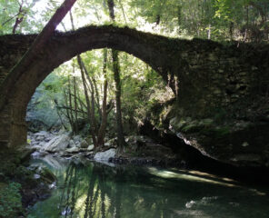 charset=InvalidCharsetId binary comment