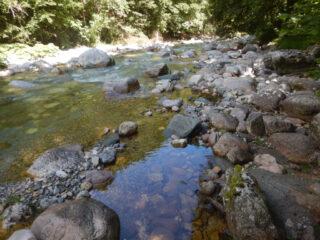 Lungo il torrente Pesio