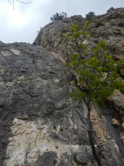 Il diedro del debuttante