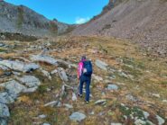 invista del colle