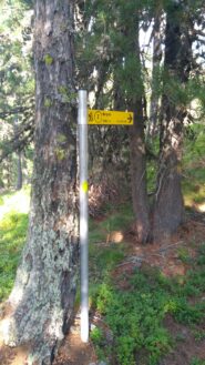 Palina a Selva Plana