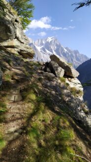 balconata sulle Grandes Jorasses