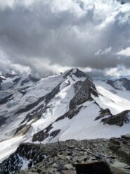 Dalla Punta Pedranzini