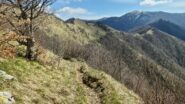 il crinale e rimanente parte dell'itinerario di salita per raggiungere il Monte Antola