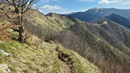 il crinale e rimanente parte dell'itinerario di salita per raggiungere il Monte Antola