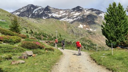salendo al Rifugio Branca
