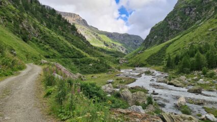 stradina  iniziale nel vallone che porta verso il Rifugio Bezzi