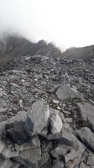 Dalla P.Gasparre al centro piu' bassa la cresta nord..dei due evidenti torrioncini il primo a dx corrisponde alla p. san Ippolito..