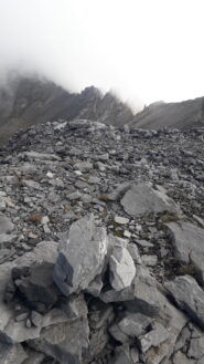 Dalla P.Gasparre al centro piu' bassa la cresta nord..dei due evidenti torrioncini il primo a dx corrisponde alla p. san Ippolito..