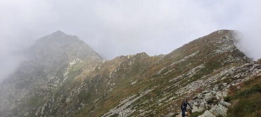 Cresta fra Punta Rama e Monte Cavallo