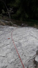 la bella placca compatta di Picchio muraiolo..