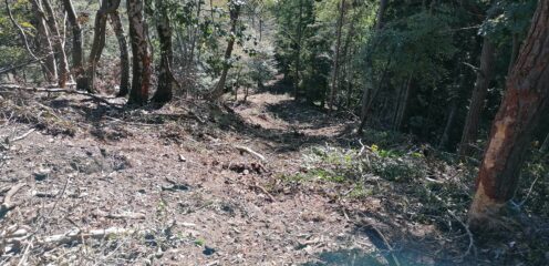 Prima della cima il sentiero non c'è più...