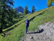 uscita dal bosco