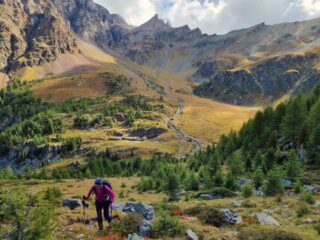 sopra l'ardamun