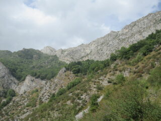 La cima da sotto