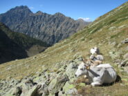 Il Vallone al ritorno