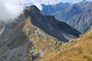 Dalla cresta SE della Tre Vescovi: il Colle della Mologna Grande (versante biellese) con i due sentieri d’arrivo e la cresta con i Gemelli