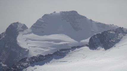 Gran Paradiso
