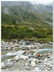 La passerella per il guado nella Zwischbergental