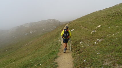Tempo un po' nebbioso ed umido. Il sentiero è ben evidente.
