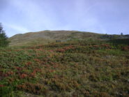il crinale della Tete Basse problematico per arbusti