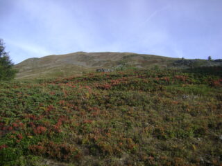 il crinale della Tete Basse problematico per arbusti