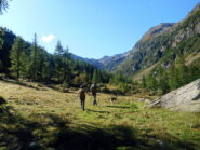 fuori dal bosco la valle si allarga