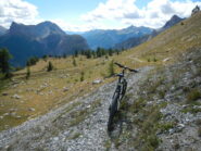 il sentiero per il Pian della Turiccia