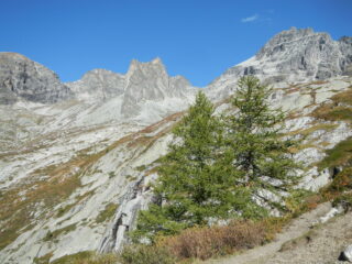 l'ambiente alpino della Rognosa d'Etiache