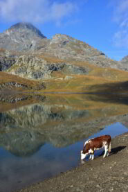 Lago Miserin e Bec Costazza