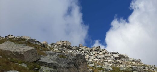 Si intravede la cima (c'è un bastone)