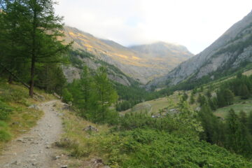 il vallone di Grauson