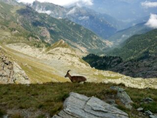 Incontro ravvicinato