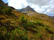 Primi colori autunnali dei pascoli